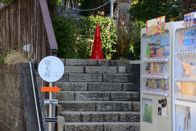 DSC_7669-2.jpg