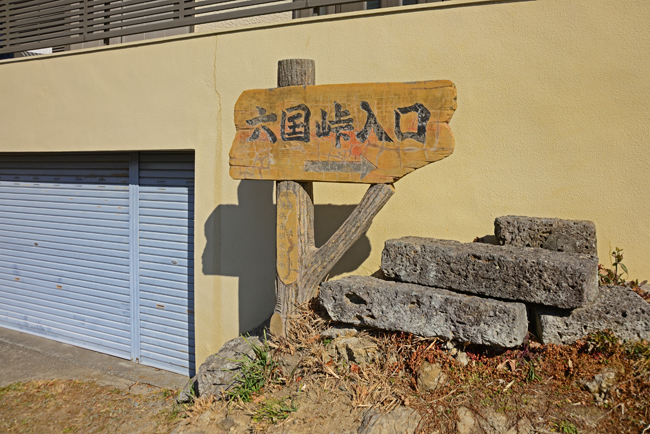 DSC_7671-2.jpg