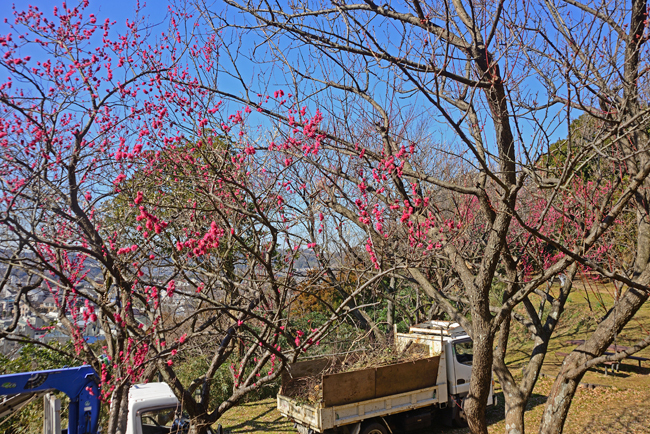 DSC_7676-2.jpg