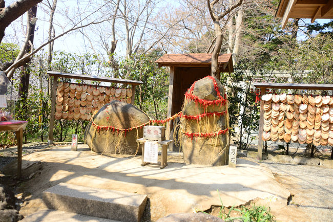 DSC_7685-2.jpg
