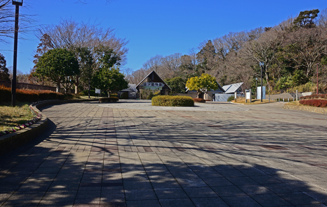 DSC_7690-2.jpg