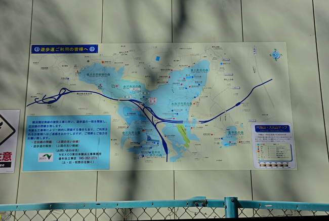 DSC_7692-2.jpg