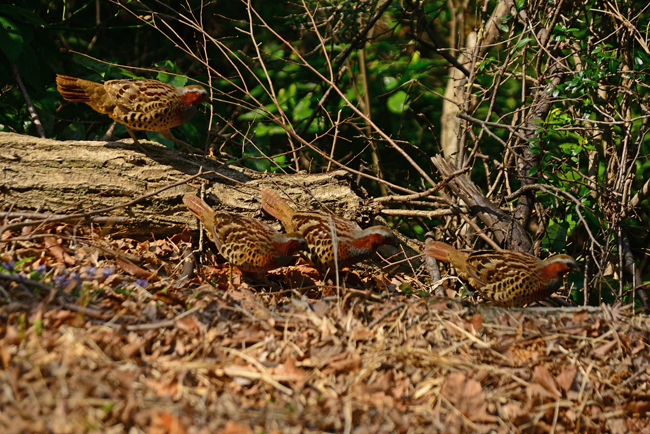 DSC_7701-2.jpg