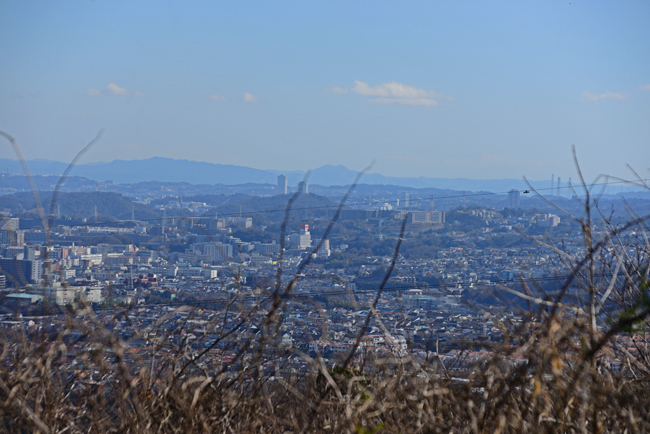 DSC_7703-2.jpg