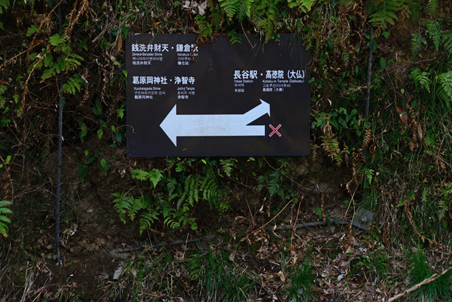 DSC_7704-2.jpg