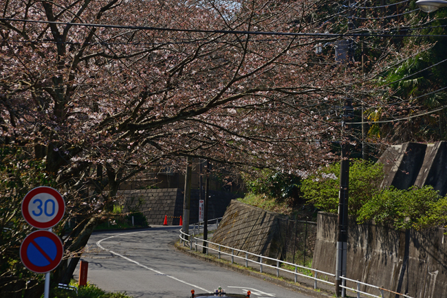 DSC_7714-2.jpg