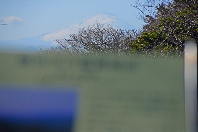 DSC_7716-2.jpg