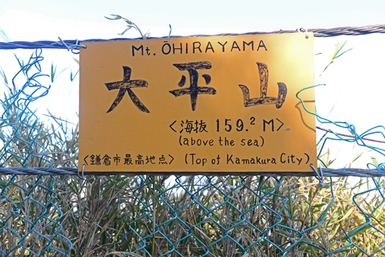 DSC_7725-2.jpg