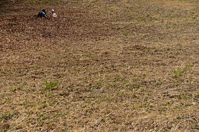 DSC_7725-2.jpg