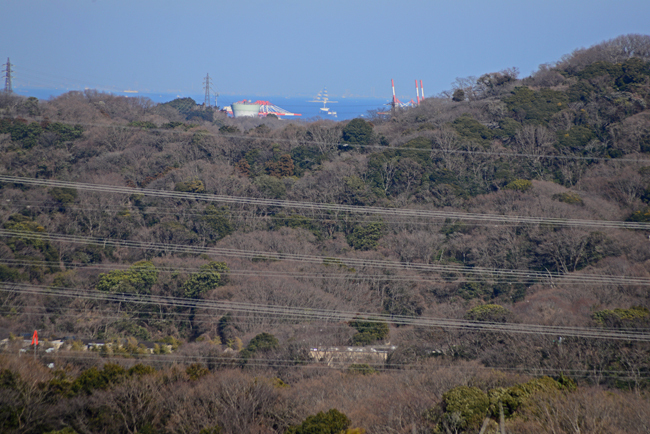 DSC_7730-2.jpg