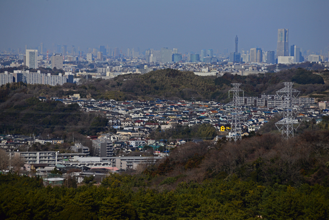 DSC_7731-2.jpg