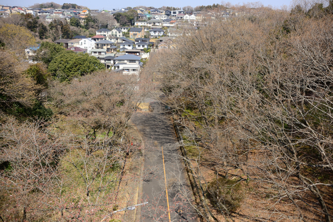 DSC_7731-2.jpg