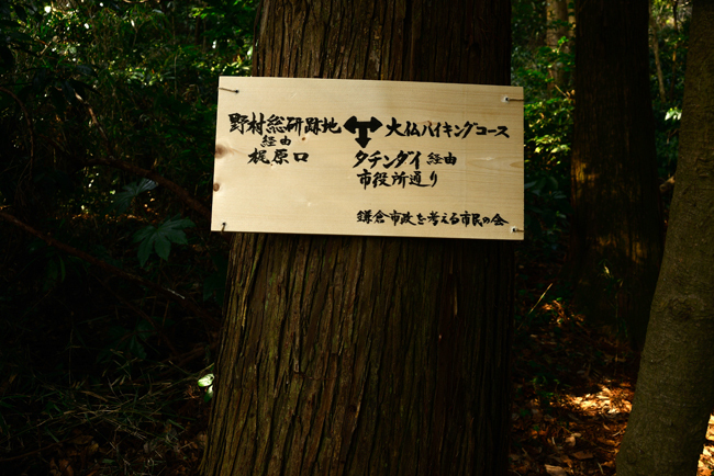 DSC_7764-2.jpg
