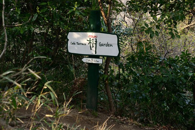 DSC_7782-2.jpg