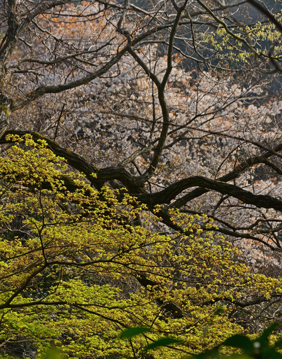 DSC_7838-2.jpg