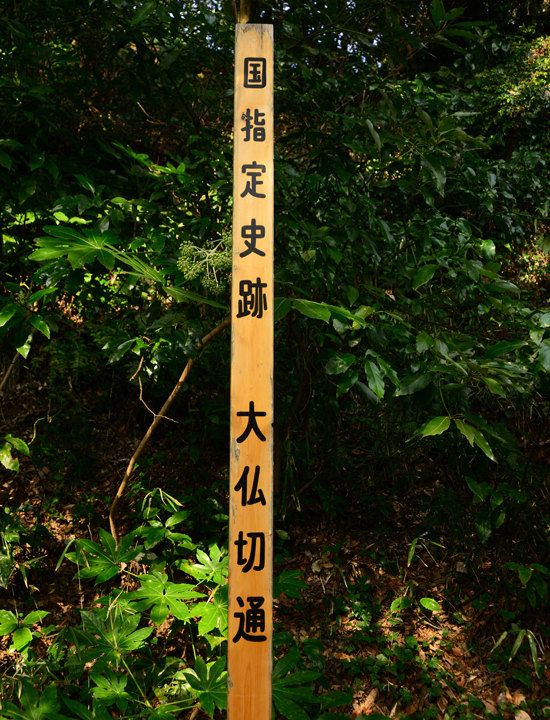 DSC_7839-2.jpg