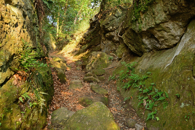 DSC_7853-2.jpg