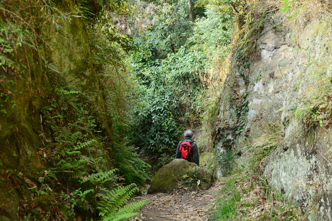 DSC_7857-2.jpg