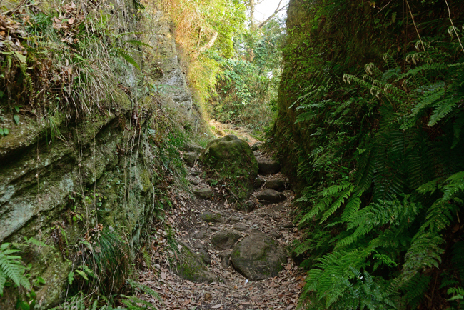 DSC_7858-2.jpg