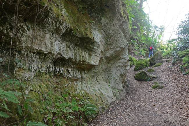 DSC_7860-2.jpg