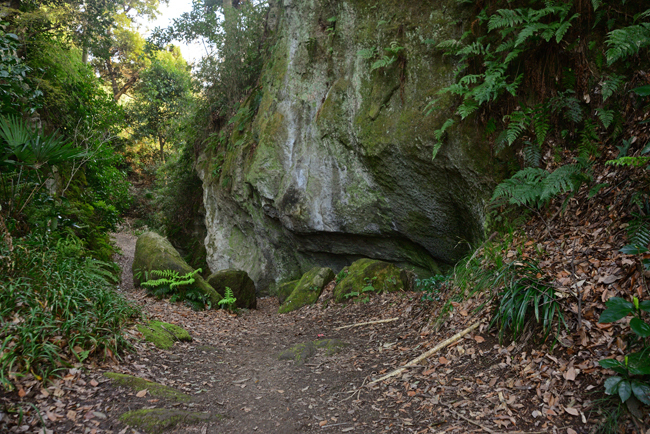 DSC_7864-2.jpg