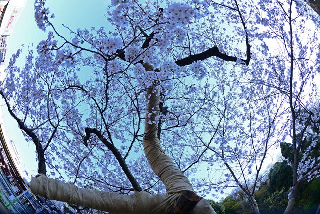 DSC_8130-2.jpg