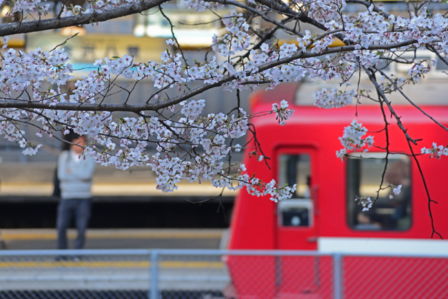 DSC_8177-2.jpg