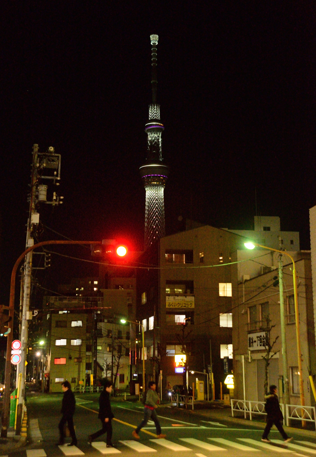 DSC_8313-2.jpg