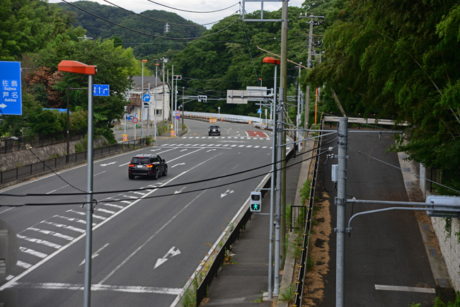 DSC_8410-2.jpg