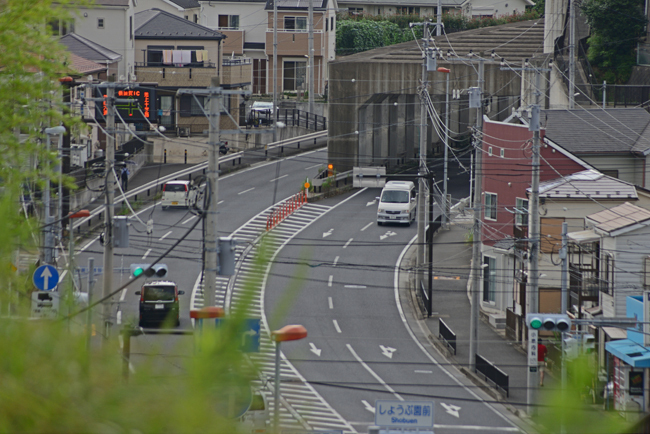 DSC_8415-2.jpg