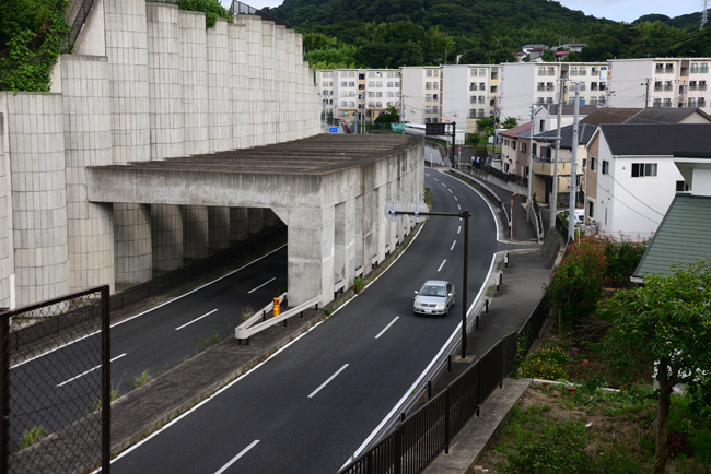 DSC_8458-2.jpg