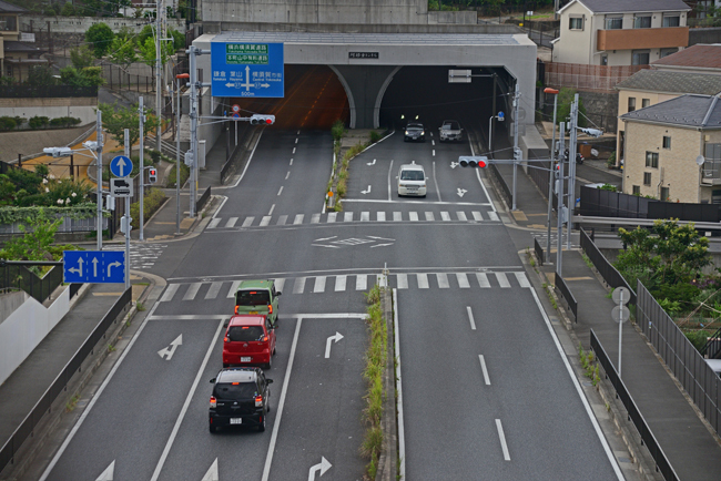 DSC_8476-2.jpg