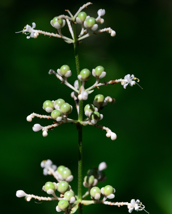 DSC_8478-2.jpg