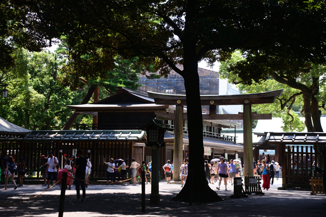 DSC_8489-2.jpg