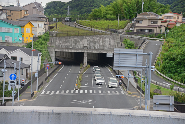 DSC_8495-2.jpg