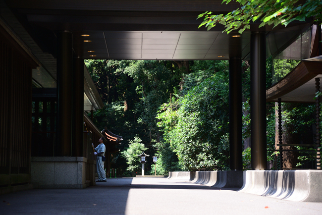 DSC_8510-2.jpg