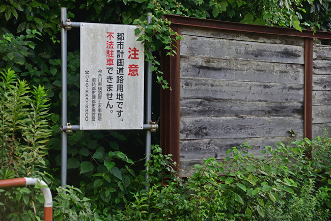 DSC_8510-2.jpg