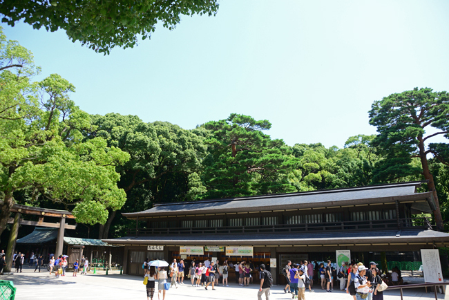 DSC_8530-2.jpg