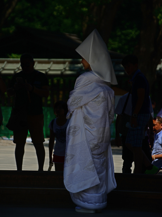 DSC_8590-2.jpg