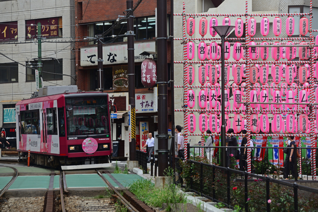 DSC_8614-2.jpg