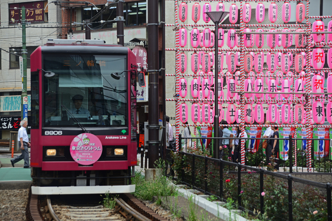 DSC_8617-2.jpg