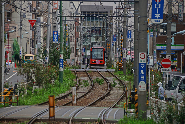 DSC_8667-2.jpg