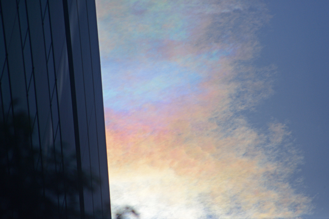DSC_8684-2.jpg