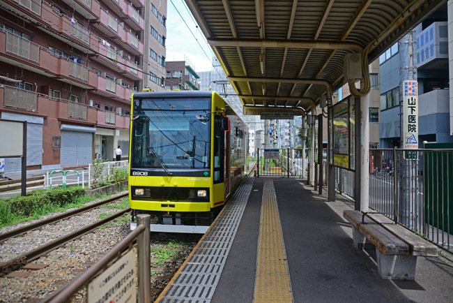 DSC_8685-2.jpg