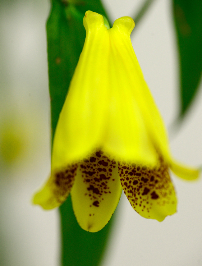 DSC_8699-2.jpg