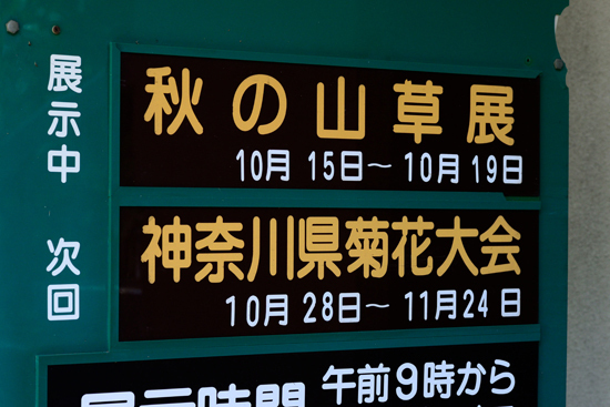 DSC_8752-2.jpg