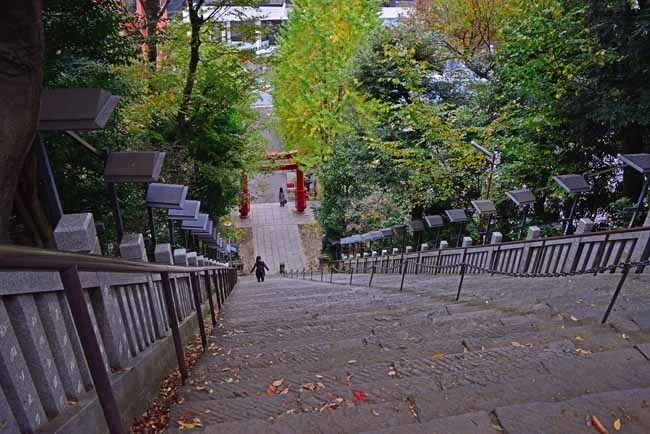 DSC_8812-2.jpg