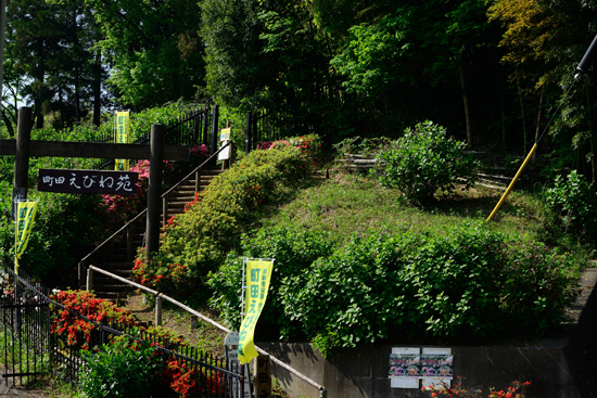 DSC_8864-2.jpg