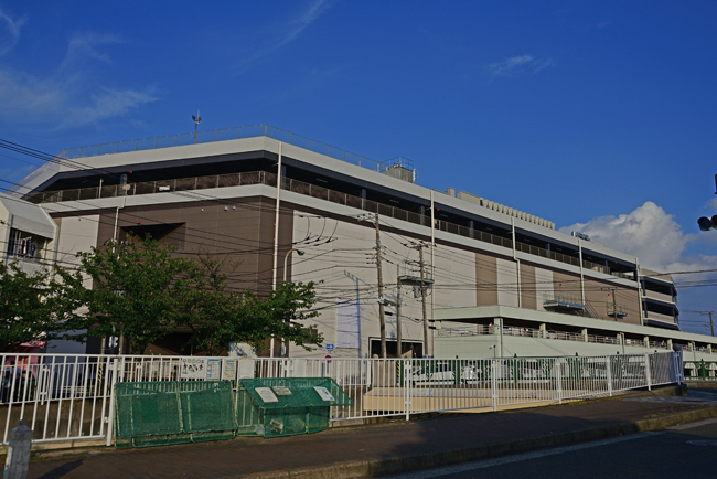 DSC_8879-2.jpg