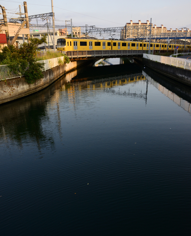 DSC_8999-2.jpg